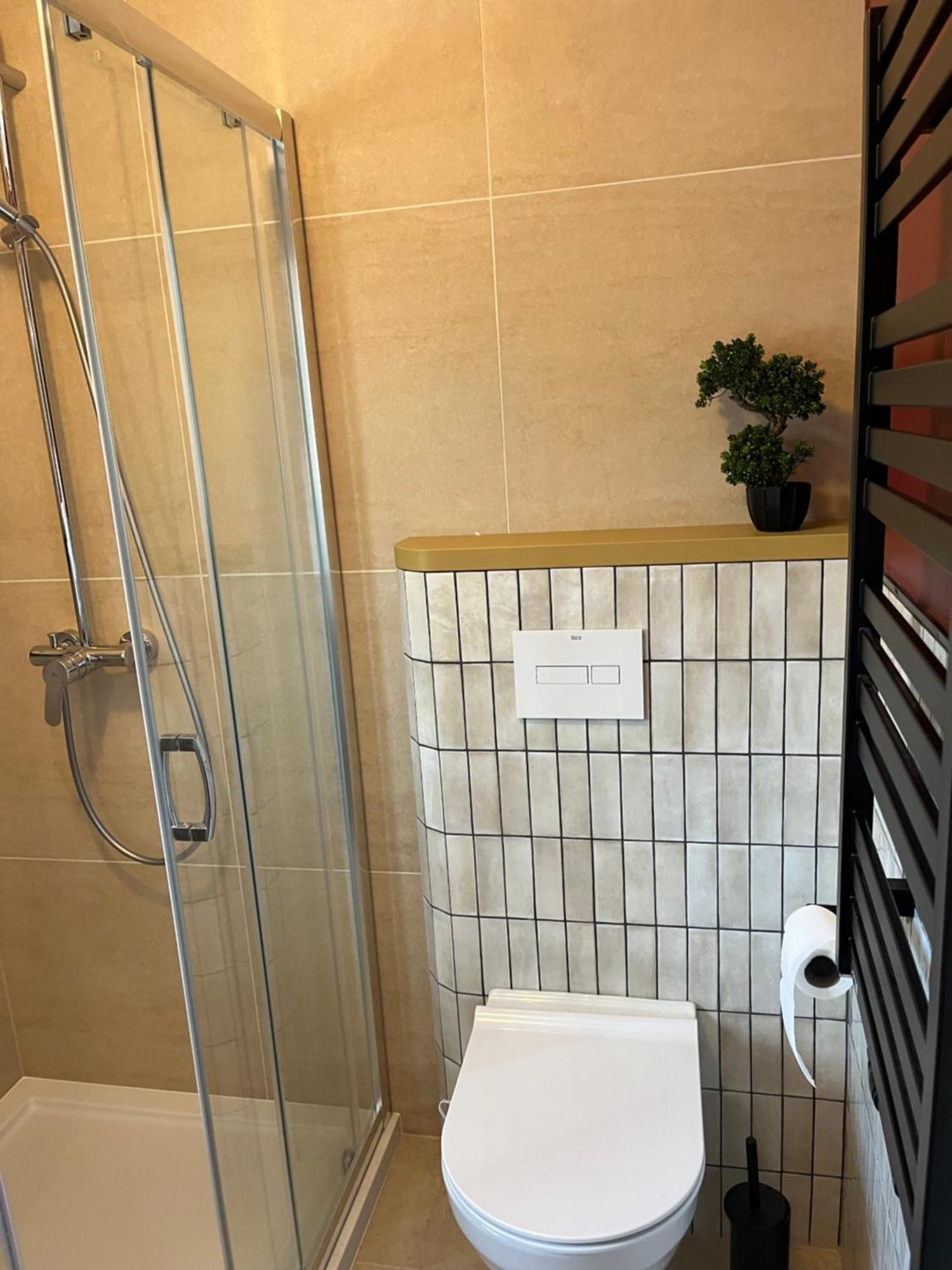 Villa Turris Apartamenty Przy Muszynskim Zamku موشينا المظهر الخارجي الصورة